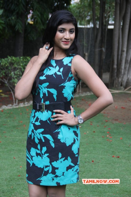 2015 Picture Fb Statushae Podu Chat Pannu Press Meet Tamil Event 2788