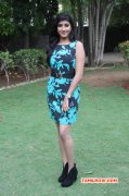 2015 Pictures Tamil Event Fb Statushae Podu Chat Pannu Press Meet 66