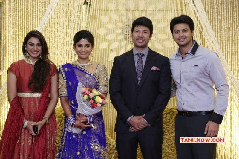 2015 Still Feroz Vijayalakshmi Wedding Reception Event 2539