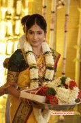 New Gallery Feroz Vijayalakshmi Wedding Tamil Function 9896