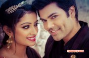 Ganesh Nisha Prewedding Photoshoot Nov 2015 Albums 137