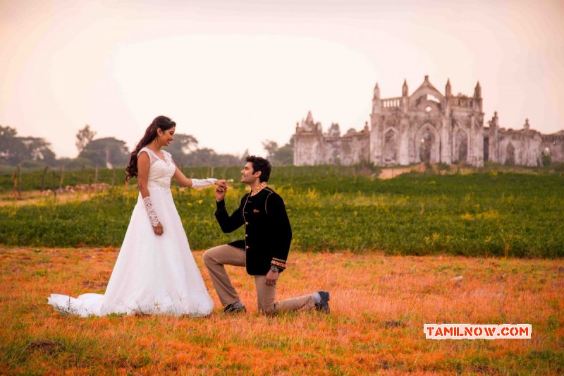 New Images Ganesh Nisha Prewedding Photoshoot Tamil Function 7176