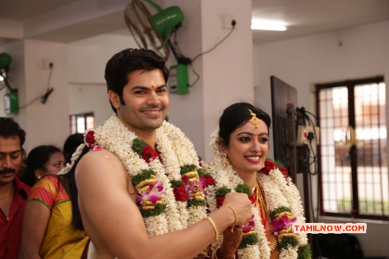 2015 Gallery Ganesh Venkatram Nisha Wedding 9129