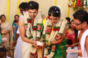 Function Ganesh Venkatram Nisha Wedding Latest Photo 2006