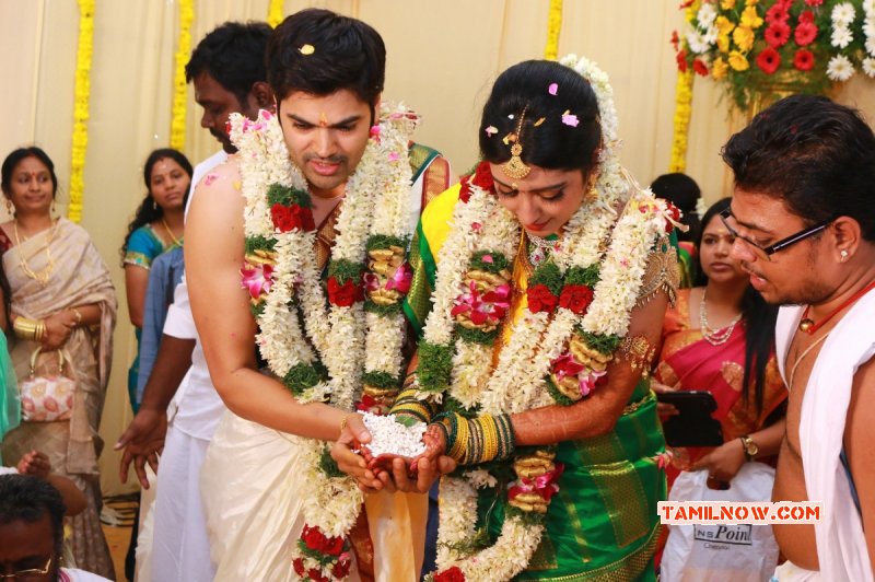 Function Ganesh Venkatram Nisha Wedding Latest Photo 2006