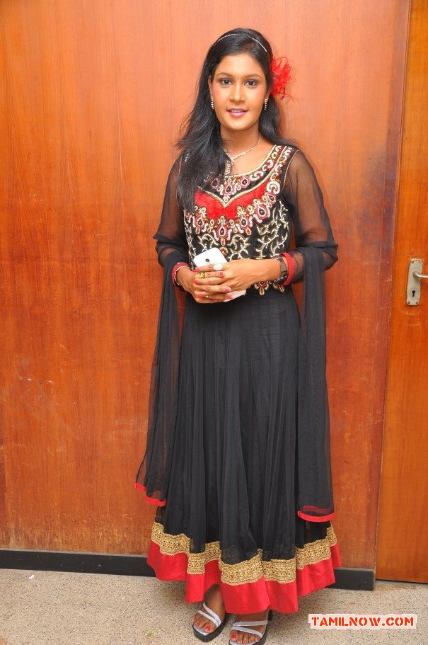 Gnanagadurga Audio Launch 7284