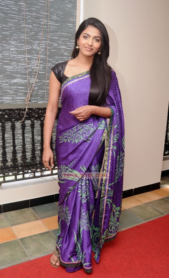 Dhansika At Gv Prakash Saindhavi Wedding 581