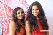 Hari Movie Audio Launch