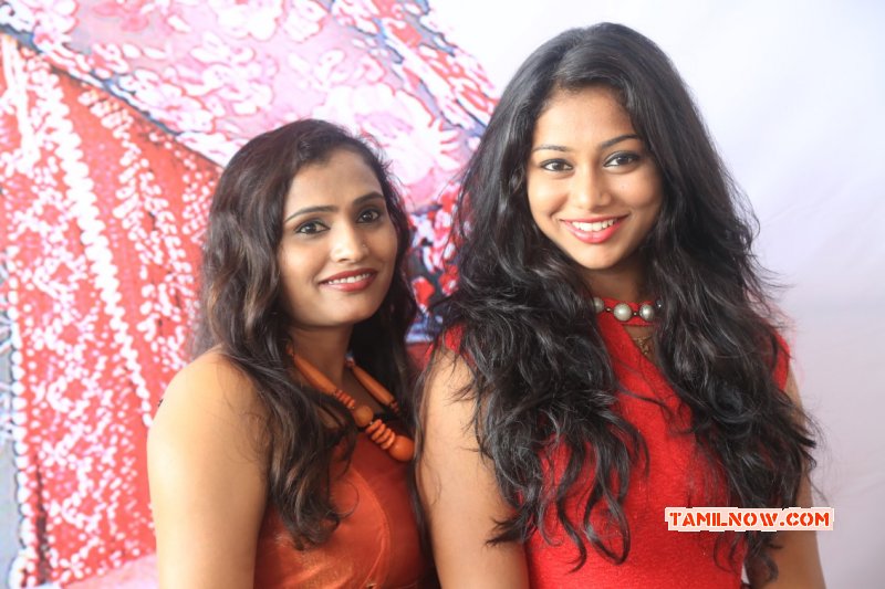 Recent Gallery Hari Movie Audio Launch Function 1158