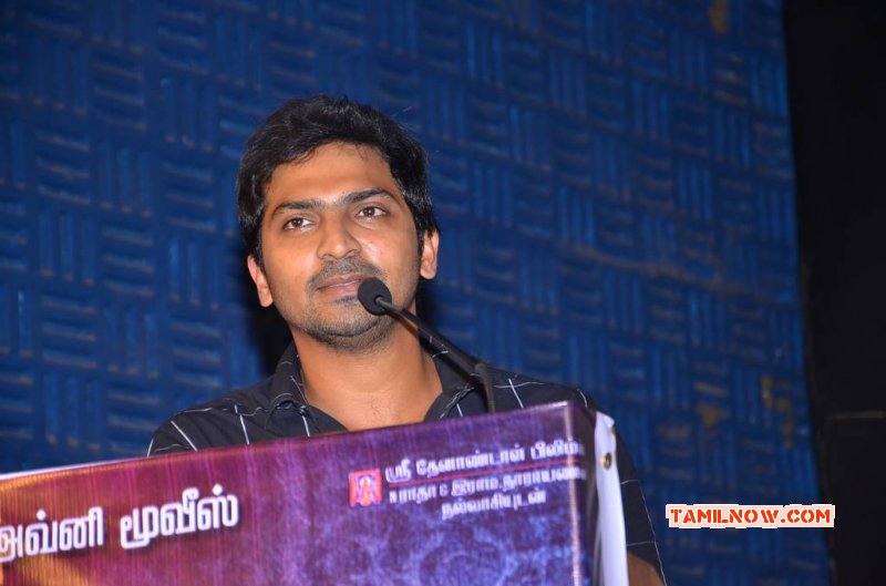 Nov 2015 Image Hello Naan Pei Pesuren Audio Launch Tamil Function 5053