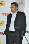 Idea Filmfare Awards South Red Carpet Stills 4922