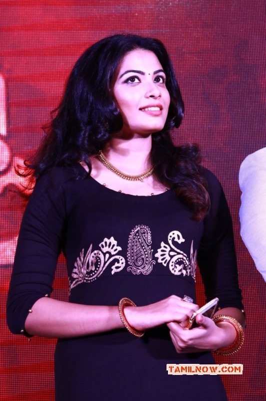 Tamil Function Idhu Enna Maayam Audio Launch Latest Stills 467