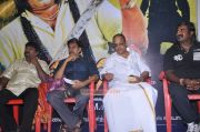 Kabali Movie Audio Launch Photos 6851