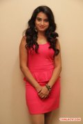 Actress Dimple Chopade At Kalkandu Press Meet 431