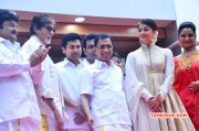 Tamil Movie Event Kalyan Jewellers Chennai Showroom Launch Latest Gallery 4817