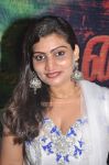 Kanal Movie Audio Launch 3888