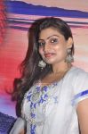 Kanal Movie Audio Launch Photos 3740