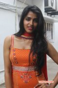 Actress Dhansika 212