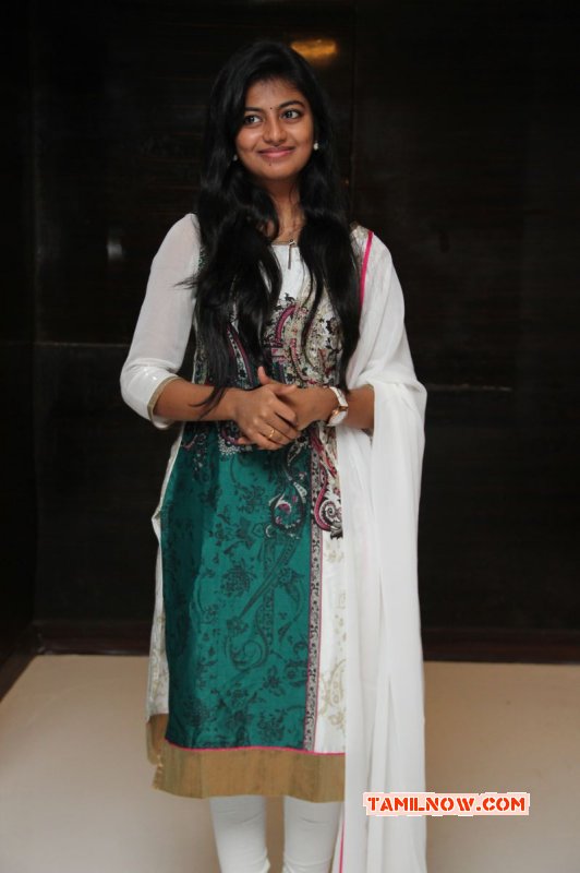 Actress Anandhi Event Still 526