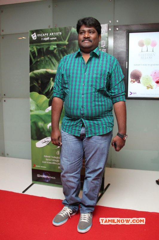 Function Kayal Audio Launch Recent Galleries 3148