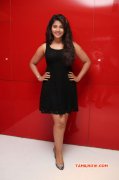 Latest Gallery Kayal Audio Launch 9554