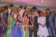 Ks Ravikumar Daughter Wedding Reception 8690
