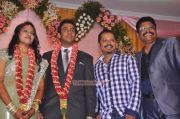 Ks Ravikumar Daughter Wedding Reception Photos 409