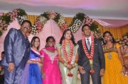 Ks Ravikumar Daughter Wedding Reception Photos 569