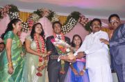Ks Ravikumar Daughter Wedding Reception Photos 763