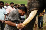 Kumki Working Stills 208