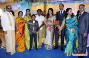 Lakshmi Ramakrishna Daughter Sharadha Reception 3468