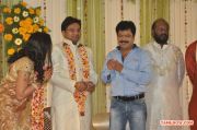 Lyricist Piraisudan Daughter Wedding Reception 2767