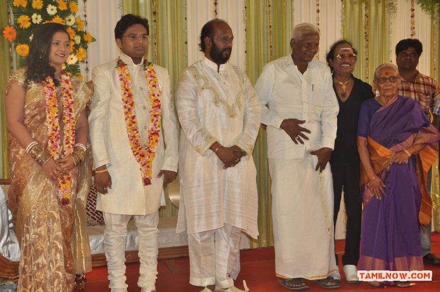 Lyricist Piraisudan Daughter Wedding Reception Photos 7160