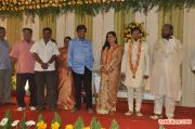 Lyricist Piraisudan Daughter Wedding Reception Stills 2427