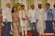 Lyricist Piraisudan Daughter Wedding Reception Stills 5329