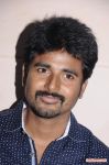 Maan Karate Movie Success Meet Stills 9305