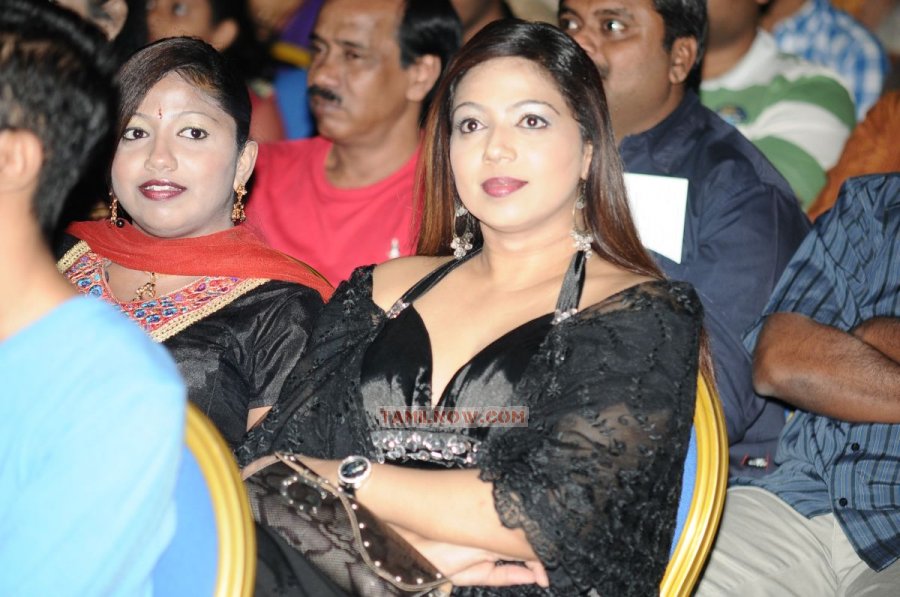 Maatraan Audio Launch 2822