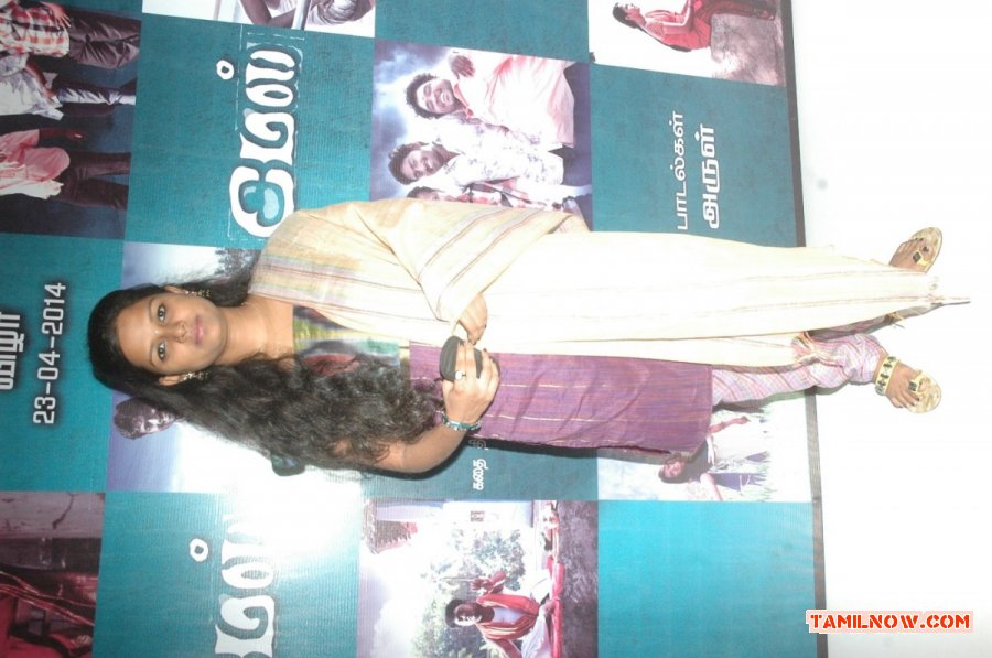 Mael Audio Launch Photos 716