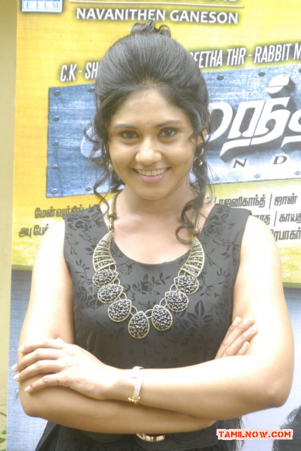 Actress Punnagai Poo Geetha 865