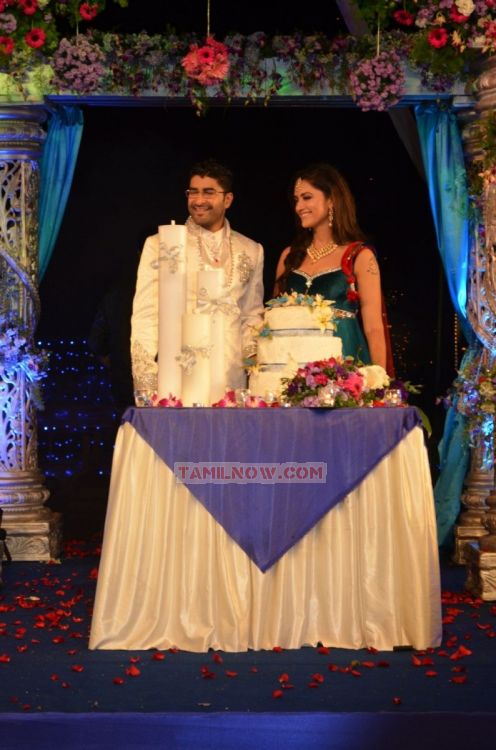 Mamta Mohandas Wedding Reception Stills 3973
