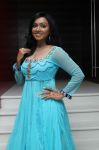 Mannaru Audio Launch Photos 3752