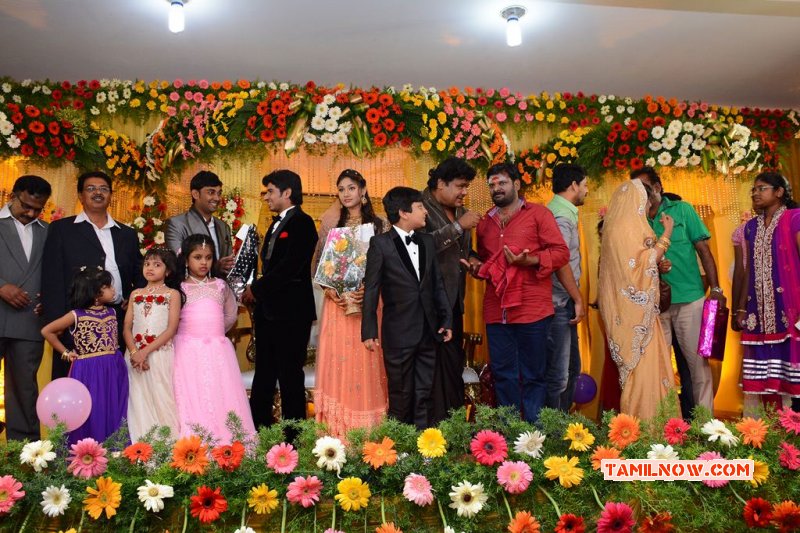 Gallery Tamil Event Mansoor Ali Khan Daughter Wedding Reception 887