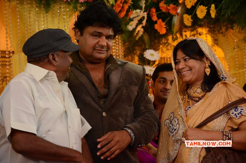 Mansoor Ali Khan Daughter Wedding Reception Function New Albums 7050