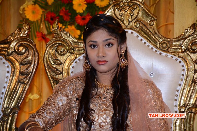 Mansoor Ali Khan Daughter Wedding Reception Tamil Function Latest Photos 7652