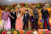 Mansoor Ali Khan Daughter Wedding Reception Tamil Movie Event 2014 Photo 6605