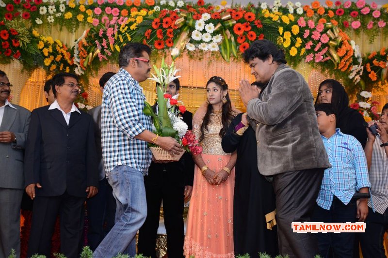 Mansoor Ali Khan Daughter Wedding Reception Tamil Movie Event Latest Photos 2016