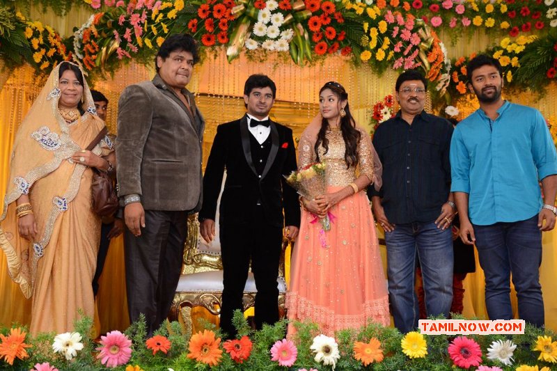 Picture Tamil Movie Event Mansoor Ali Khan Daughter Wedding Reception 8199
