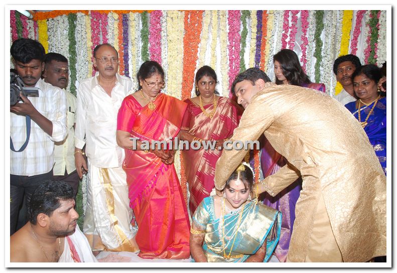 Meena Marriage Photos 3