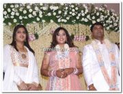 Meena Wedding Reception 1