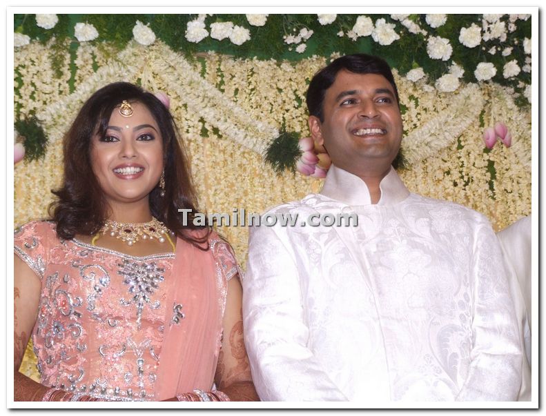 Meena Wedding Reception Stills 4